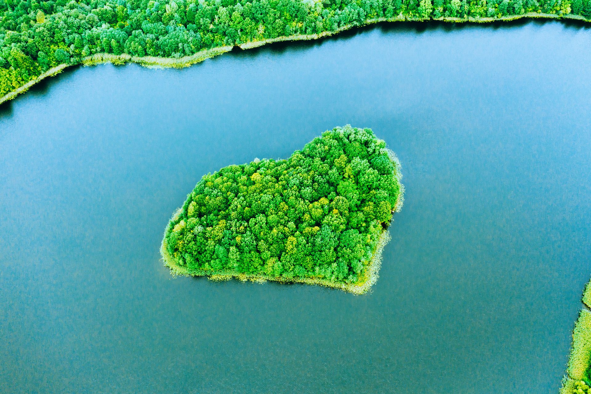 ING Webinar Duurzaamheid Is Geen Keuze Meer ING