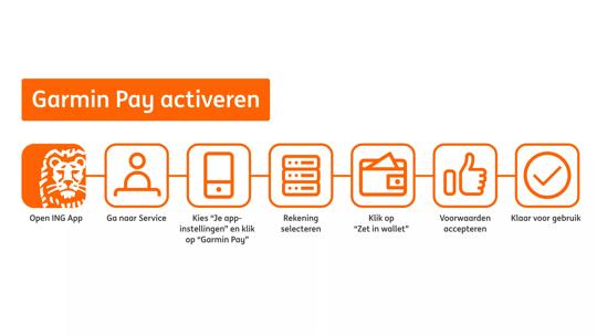 Ing garmin pay on sale