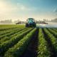 Spraying a Blossoming Soybean Landscape
